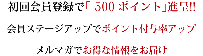 会員登録でポイント贈呈！ポイント付与率アップ！メルマガでお得な情報をお届け